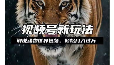 利用动物世界解说视频，赚分成计划收益，轻松月入过W，操作简单-副业吧