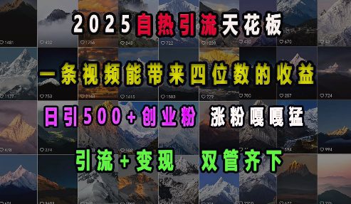 2025自热引流天花板，一条视频能带来四位数的收益，引流+变现双管齐下，日引500+创业粉，涨粉嘎嘎猛-副业吧