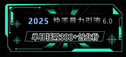 2025年快手6.0保姆级教程震撼来袭，单日狂吸300+精准创业粉-副业吧