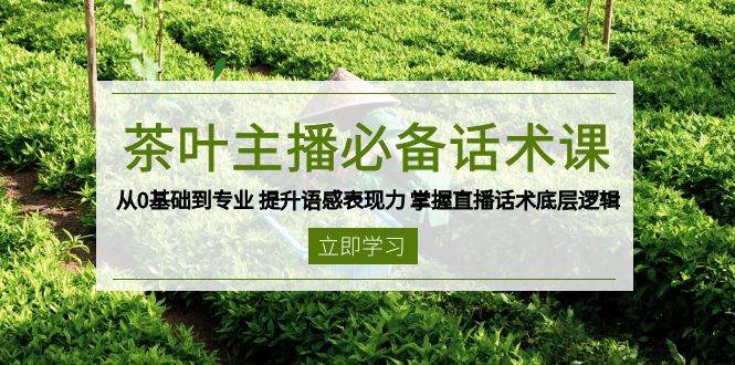茶叶主播必备话术课 从0基础到专业 提升语感表现力 掌握直播话术底层逻辑-副业吧
