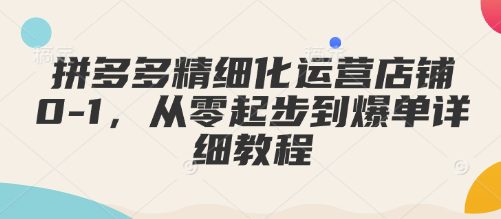 拼多多精细化运营店铺0-1，从零起步到爆单详细教程-副业吧