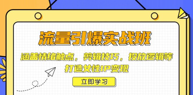 （14008期）流量引爆实战班，涵盖情绪触点，剪辑技巧，投放逻辑等，打造女性IP变现-副业吧