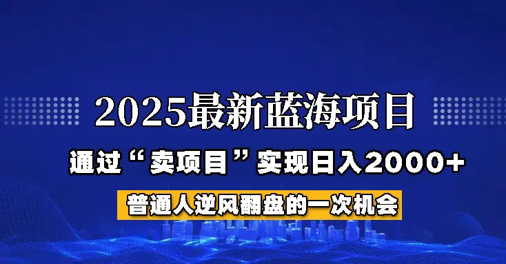 2025年蓝海项目,如何通过“网创项目”日入2000+-副业吧