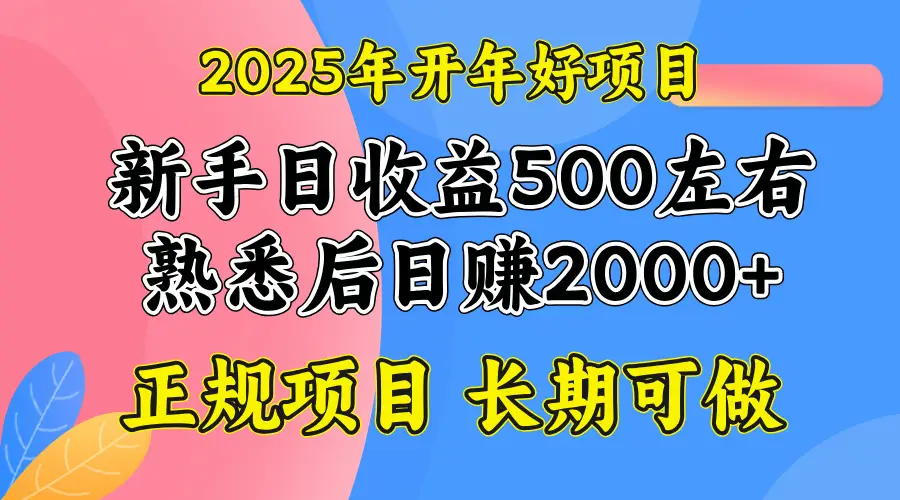 2025开年好项目，单号日收益2000左右-副业吧