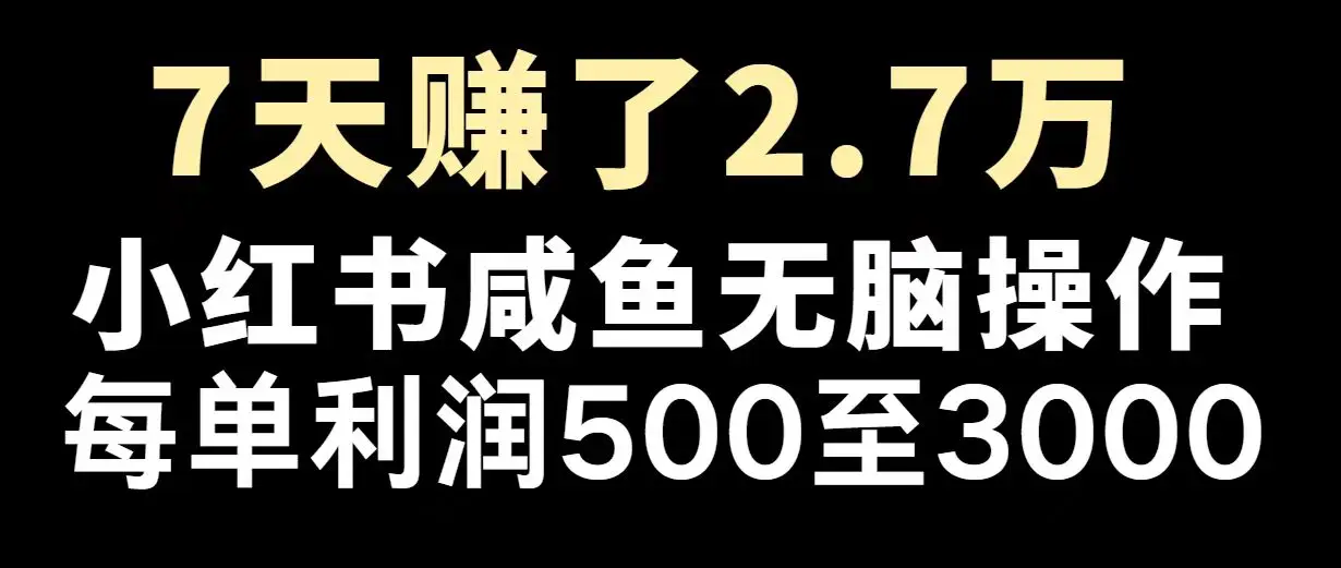 最赚钱项目之一，2025爆火，逆风翻盘！-副业吧