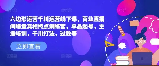 六边形运营千川运营线下课，百业直播间爆量真相终点训练营，单品起号，主播培训，千川打法，过款等-副业吧