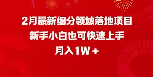 2月最新细分领域落地项目，新手小白也可快速上手，月入1W-副业吧