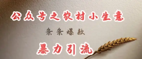 deepseek写农村小项目，条条爆款，暴力引流-副业吧