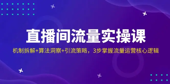 直播间流量实操课：机制拆解+算法洞察+引流策略，3步掌握流量运营核心逻辑-副业吧