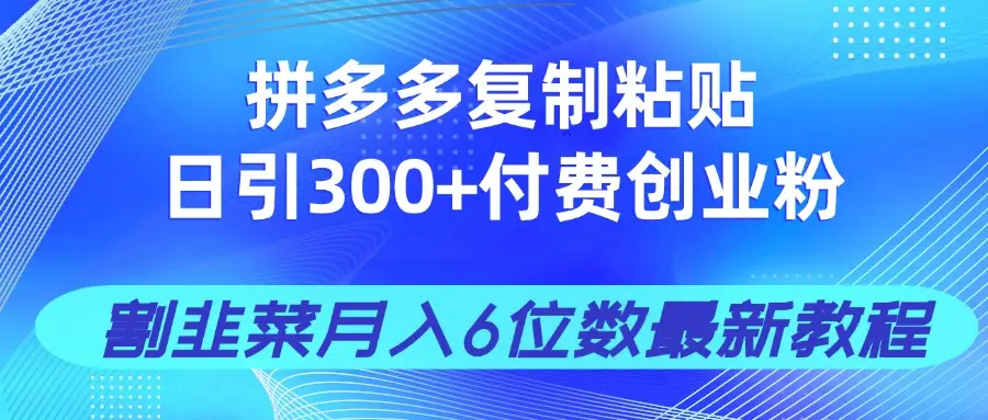 拼多多复制粘贴日引300+付费创业粉，割韭菜月入6位数最新教程！-副业吧