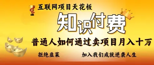 互联网项目天花板，知付付费项目，普通人如何通过卖项目月入十个，拒绝韭菜【揭秘】-副业吧