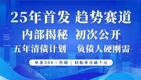2025年首次公开，真正的事业型赛道，客咨不断，单月轻松破W-副业吧