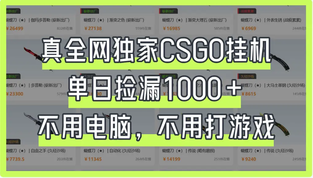 真全网独家CSGO挂机，单日捡漏1000+-副业吧