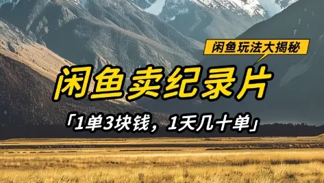 闲鱼卖纪录片1单3块钱，1天几十单，项目稳定有潜力-副业吧