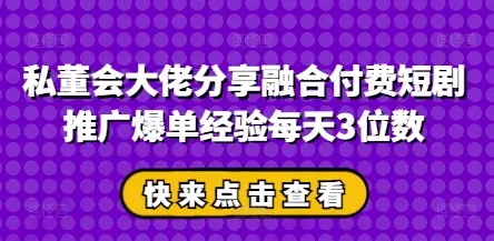 私董会大佬分享融合付费短剧推广爆单经验每天3位数-副业吧