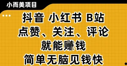 小而美的项目，抖音小红书B站视频点赞、关注、评论就能挣钱，简单无脑立见收益，妥妥的零撸项目【揭秘】-副业吧