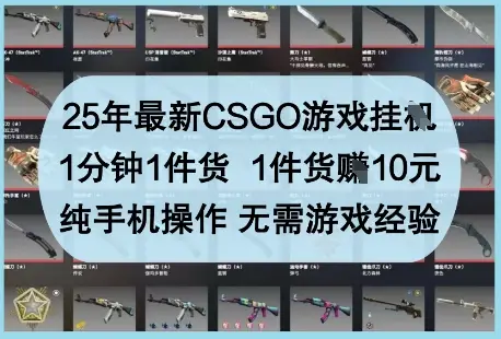 25年最新CSGO游戏挂G，1分钟1件货，1件货挣10元，纯手机操作，无需游戏经验【揭秘】-副业吧