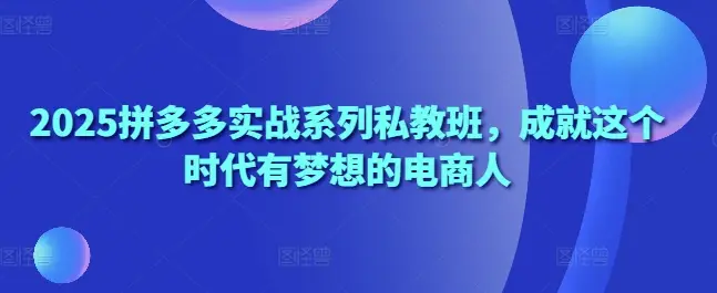 2025拼多多实战系列私教班，成就这个时代有梦想的电商人-副业吧