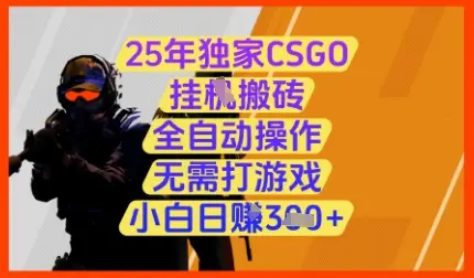 25年独家CSGO挂G搬砖，全自动操作，无需打游戏，小白日入3张+【揭秘】-副业吧