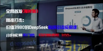 精准打击：价值3980的DeepSeek私域引流实操课，小白实操无门槛，日引精准粉300+-副业吧