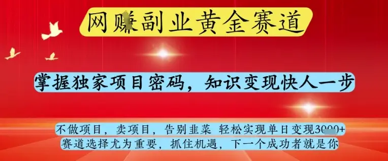 网创副业黄全赛道，掌握独家项目密码，知识变现快人一步，告别韭菜轻松实现单日变现1k+【揭秘】-副业吧