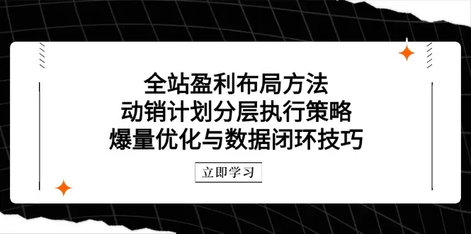 全站盈利布局方法：动销计划分层执行策略，爆量优化与数据闭环技巧-副业吧