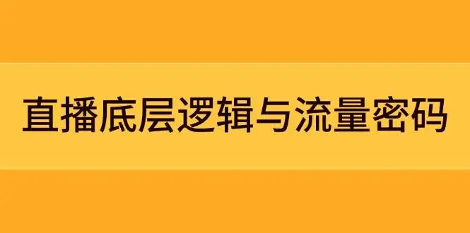 直播底层逻辑与流量密码:定位模型+案例拆解,急速流承接与数据优化全攻略-副业吧