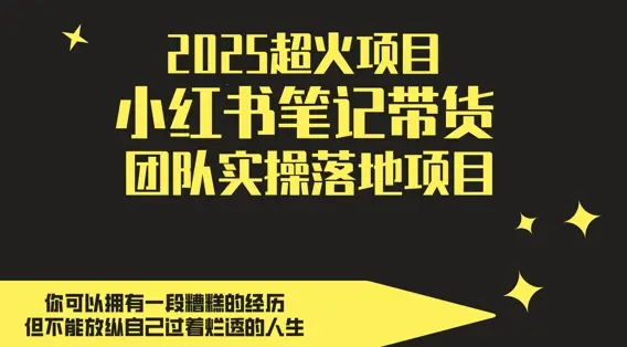 2025超火项目，副业最佳选择，小红书笔记带货团队实操落地项目，，轻松日入5张-副业吧