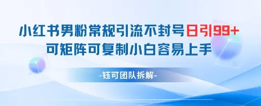 小红书男粉常规引流不封号日引99+变现简单 可矩阵可复制小白容易上手-副业吧