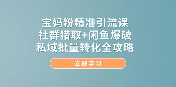 宝妈粉精准引流课，社群猎取+闲鱼爆破，私域批量转化全攻略-副业吧