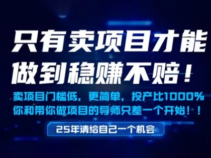 只有卖项目才能做到稳挣不赔，门槛低，更简单，你也可以年入百个W【揭秘】-副业吧