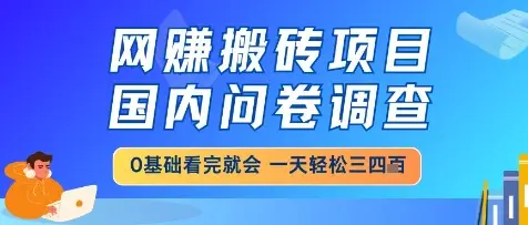 网创搬砖项目，国内问卷调查，小白轻松上手，一天三四张的也不难，干就完了【揭秘】-副业吧