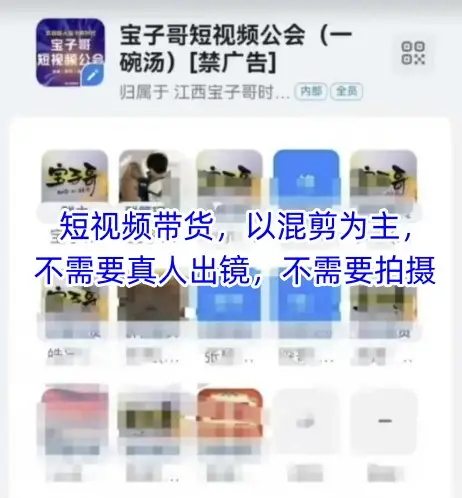 宝子哥头部团队短视频带货，以混剪为主，不需要真人出镜，不需要拍摄【更新】-副业吧