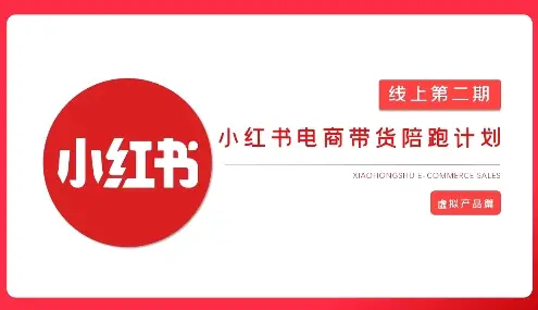 2025小红书虚拟电商实战课-副业吧