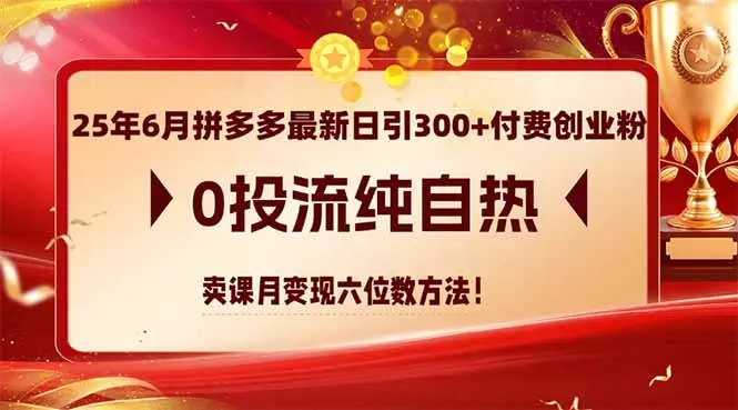 25年6月拼多多最新日引300+付费创业粉，0投流纯自热 卖课月变现六位数方法-副业吧
