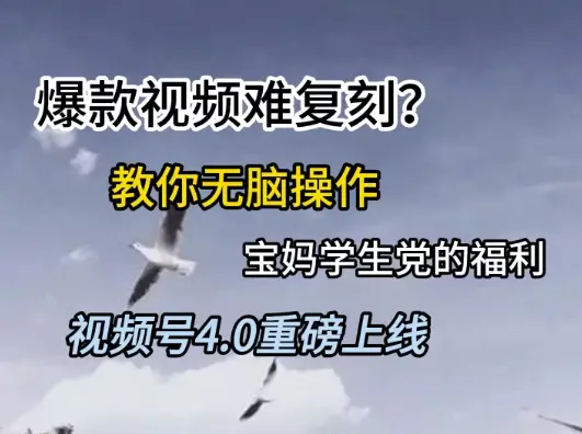 视频号4.0重磅上线，爆款视频难复刻？教你无脑操作宝妈学生党的福利【揭秘】-副业吧