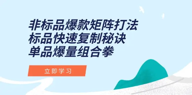 非标品爆款矩阵打法，标品快速复制秘诀，单品爆量组合拳-副业吧