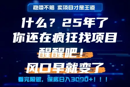 什么？25年你还在疯狂找项目做，醒醒吧，看完这些你全都懂了！【揭秘】-副业吧