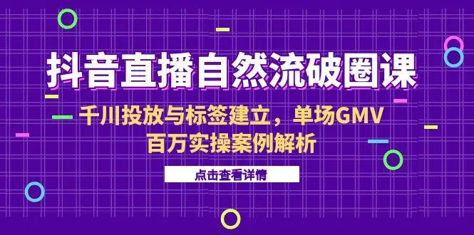 抖音直播自然流破圈课-6月，千川投放与标签建立，单场GMV百万实操案例解析-副业吧