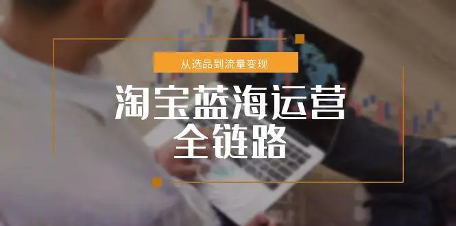 淘宝蓝海运营全链路，从选品到流量变现，小类目突围完整方案-副业吧