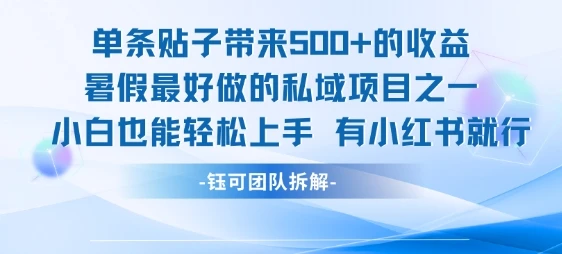 单条贴子带来5张的收益，暑假最好做的私域项目之一，小白也能轻松上手，有小红书就行-副业吧