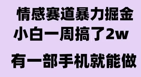 情感暴力掘金项目，新人操作一周挣了2W，长期稳定小白可做【揭秘】-副业吧