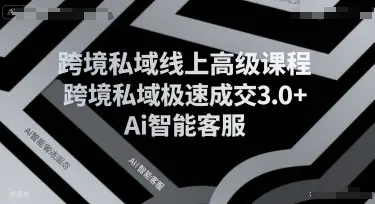 跨境私域线上高级课程，跨境私域极速成交3.0+Ai智能客服-副业吧