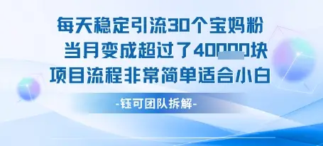 每天稳定引流30个人 当月变成超过了4个W项目流程非常简单适合小白-副业吧