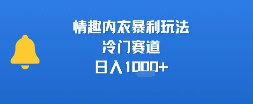 情趣内衣暴利玩法，冷门赛道，日入1k+-副业吧