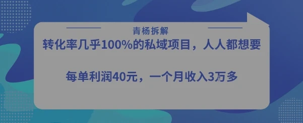 转化率最高的私域项目，每单利润40-50米，月入过1w-副业吧