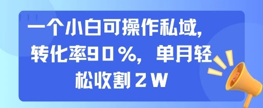 一个小白可操作私域，转化率90%，单月轻松收割2W-副业吧