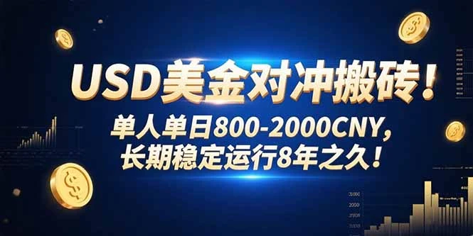 USD美金对冲搬砖!单人单日800-2000CNY，长期稳定运行8年之久!-副业吧