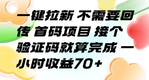 一键拉新 不需要回传 首码项目 接个验证码就算完成 一小时收益70+【揭秘】-副业吧