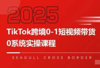 大亿老师·TikTok跨境0-1短视频带货-副业吧